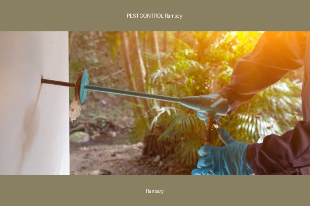 PEST CONTROL Ramsey
